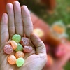 image:imageSOUR PATCH KIDS Apple Harvest Soft amp Chewy Candy Halloween Candy 6  10 oz BagsApple