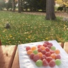 image:imageSOUR PATCH KIDS Apple Harvest Soft amp Chewy Candy Halloween Candy 6  10 oz BagsApple
