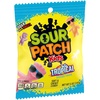 image:imageSOUR PATCH KIDS Apple Harvest Soft amp Chewy Candy Halloween Candy 6  10 oz BagsMixedFruit