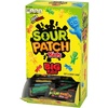 image:imageSOUR PATCH KIDS Big Kids Individually Wrapped Soft amp Chewy Gummy Candy Bulk Candy 240 Count BoxASSORTED