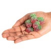image:imageSOUR PATCH KIDS Grape Soft amp Chewy Gummy Candy Bulk Candy 12  358 oz BagsStrawberry