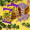 image:imageSOUR PATCH KIDS Grape Soft amp Chewy Gummy Candy Bulk Candy 12802 oz Bags