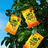 image:imageSOUR PATCH KIDS Peach Soft amp Chewy Gummy Candy Bulk Candy 12807 oz Bags