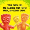 image:imageSOUR PATCH KIDS Soft amp Chewy Gummy Candy Bulk Candy 5 lb