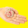 image:imageSOUR PATCH KIDS Watermelon Soft amp Chewy Gummy Candy Bulk Candy 12  8 oz Bags