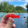 image:imageSWEDISH FISH Soft amp Chewy Candy 8 ozBERRY