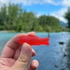image:imageSWEDISH FISH Soft amp Chewy Gummy Candy Bulk Candy 128 oz Bagsswedish fish