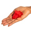 image:imageSWEDISH FISH Tails 2 Flavors in 1 Soft amp Chewy Gummy Candy Bulk Candy 12  36 oz BagsAssorted
