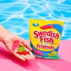 image:imageSWEDISH FISH Tails 2 Flavors in 1 Soft amp Chewy Gummy Candy Bulk Candy 12  8 oz BagsMixedFruit