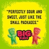 image:imageSour Patch Kids Big Kids Soft and Chewy Gummy Candy Share Size 12 Ounce12 Ounce Pack of 1