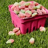 image:imageSour Patch Kids Watermelon Soft and Chewy Gummy Candy Share Size 12 OunceStrawberry