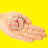image:imageSour Patch Kids Watermelon Soft and Chewy Gummy Candy Share Size 12 OunceWatermelon