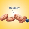 image:imagebelVita Breakfast Bars Biscuits Pumpkin Spice 30 Total Packs 6 Boxes 4 Biscuits Per Pack88 Ounce Pack of 6